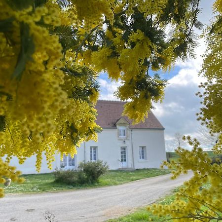 Les Mimosas Villa Gracay Exteriör bild
